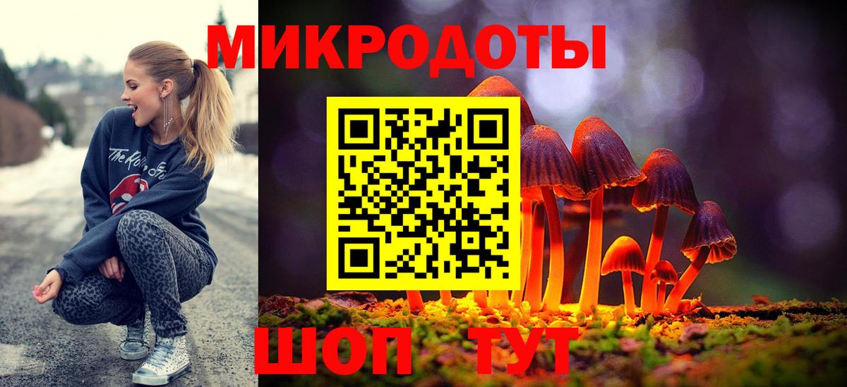 Галлюциногенные грибы Psilocybe Аша