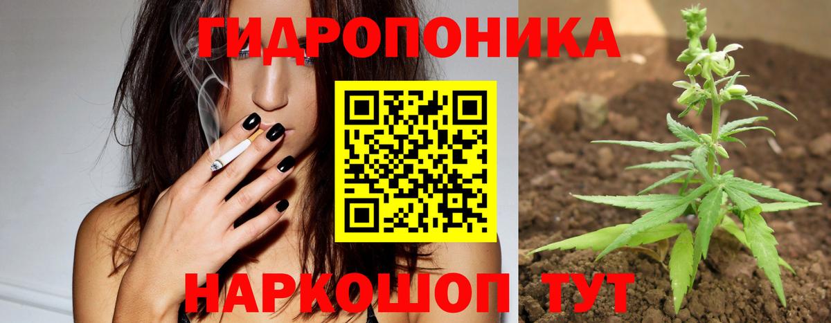 Конопля Ganja  Вход с VPN  Марихуана VHQ  Аша  Канабис планчик 